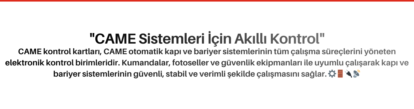 CAME Kontrol Kartları