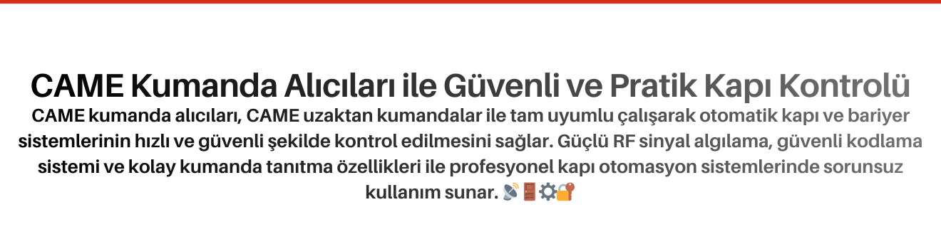 CAME Kumanda Alıcıları