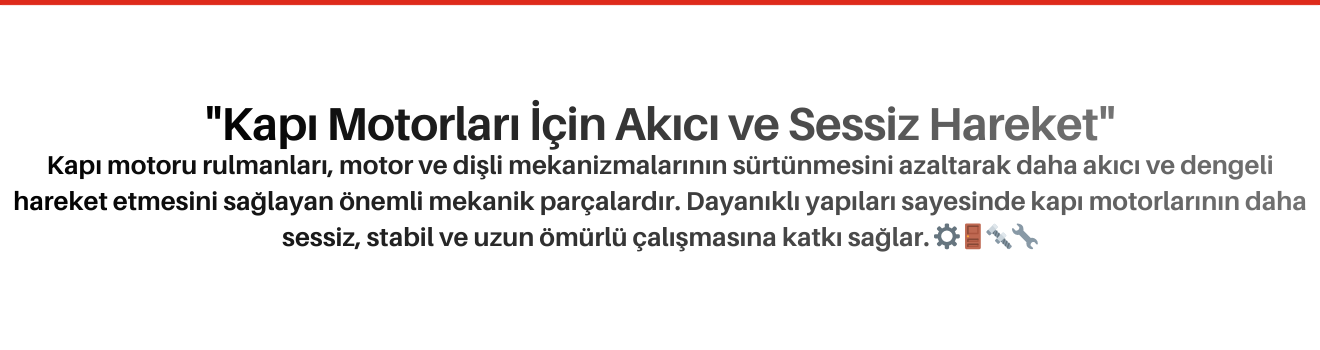 Kapı Motoru Rulmanları