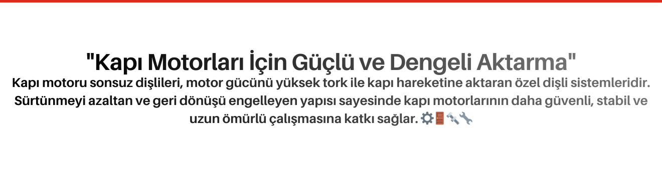 Kapı Motoru Sonsuz Dişlileri