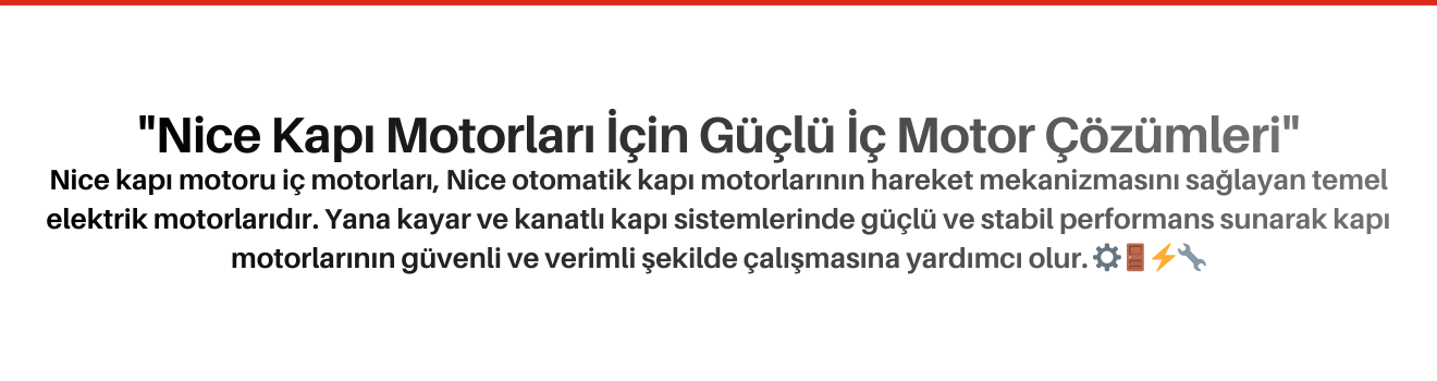Nice Kapı Motoru İç Motorları