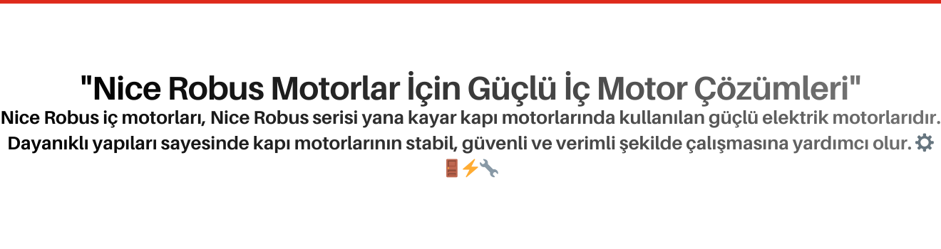 Nice Robus İç Motorları