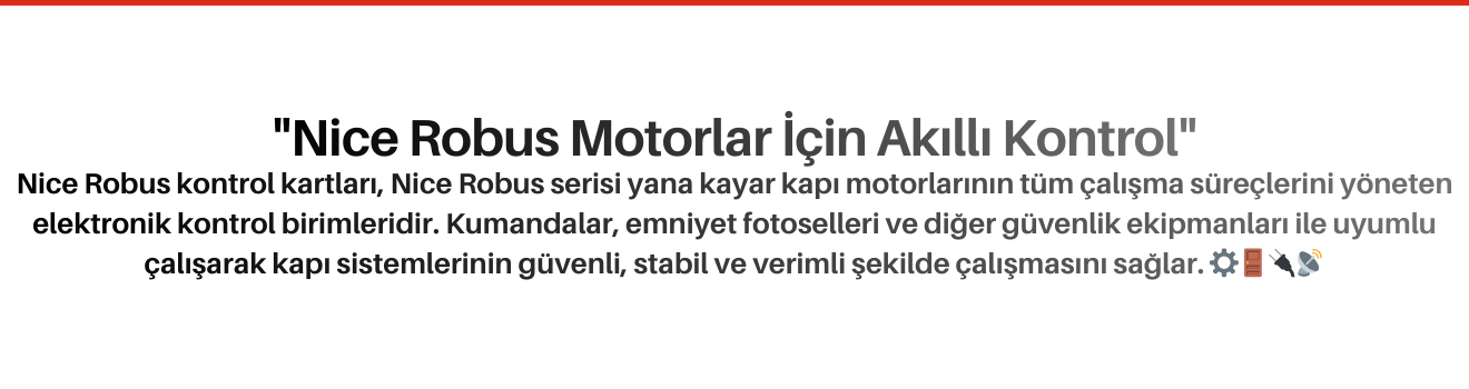 Nice Robus Kontrol Kartları