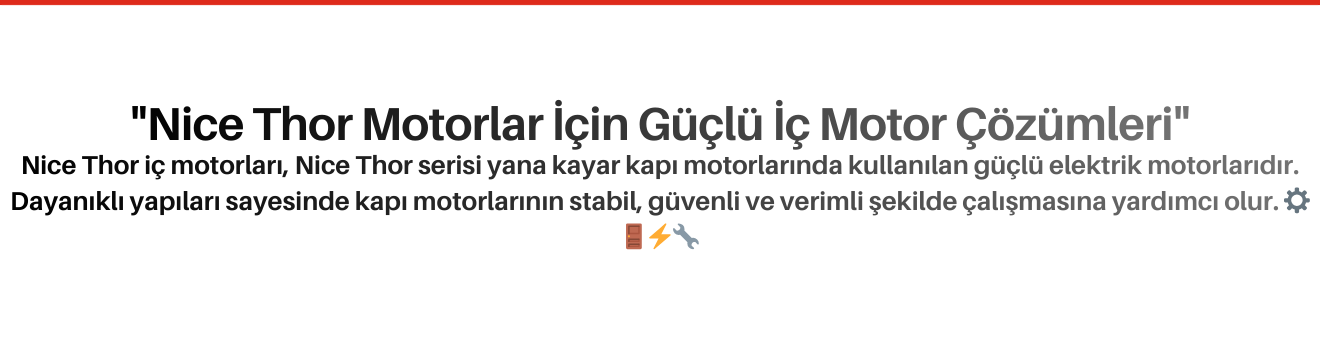 Nice THOR İç Motorları