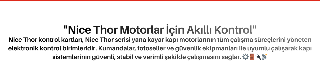 Nice Thor Kontrol Kartları