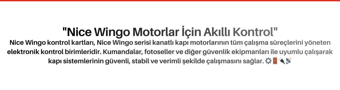 Nice Wingo Kontrol Kartları