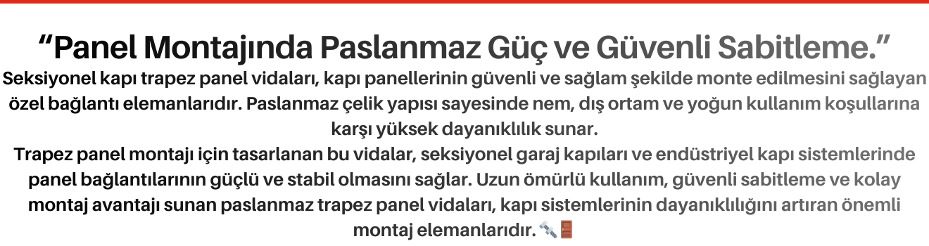 Seksiyonel Kapı Trapez Panel Vidaları Paslanmaz