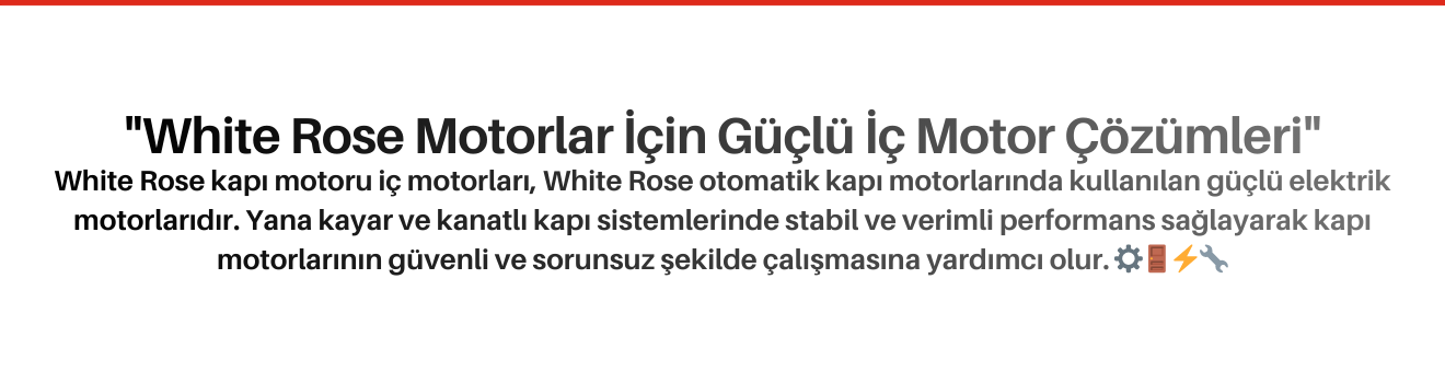 White Rose Kapı Motoru İç Motorları
