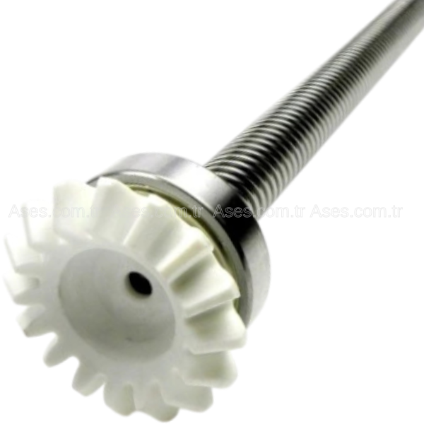 NicePRWNG06Nice Wingo 2024 Sonsuz Dişli