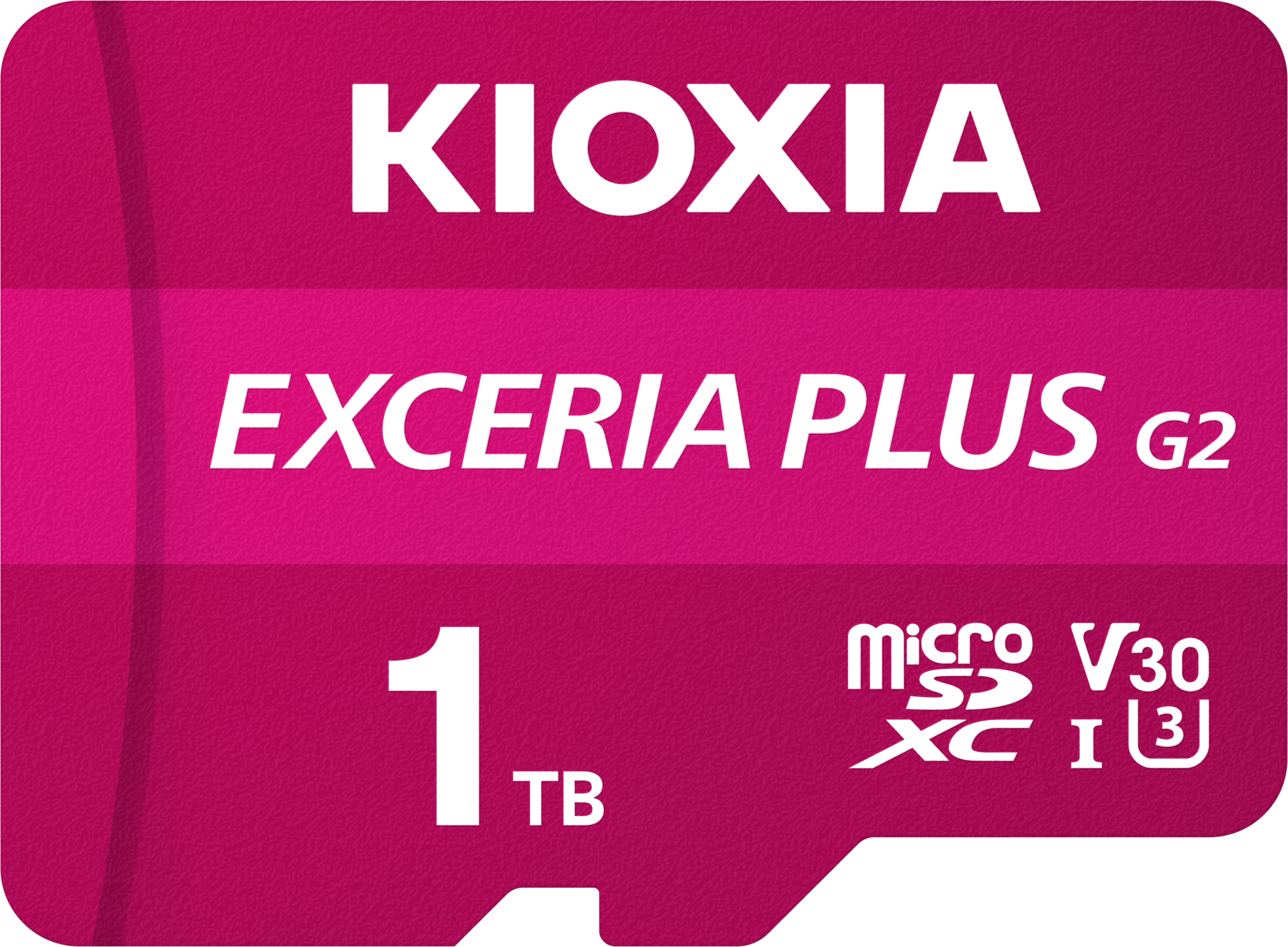 KIOXIA 1TB EXCERIA PLUS G2 MICRO SDXC 4K 100/90