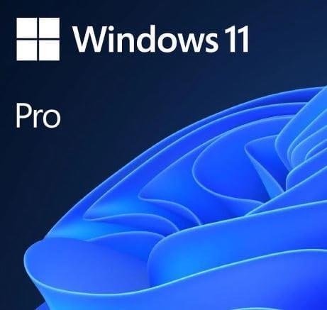 HAV-00159 - Windows 11 Professional Türkçe - FPP