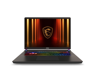 MSI NB VECTOR 17 HX AI A2XWHG-081TR ULTRA 9 275HX 32GB DDR5 RTX5070TI GDDR7 12GB 2TB SSD 17.0 QHD+ 240Hz W11