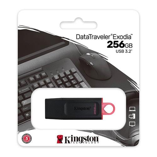 KINGSTN 256GB USB3.2 DataTrvEx DTX/256GB