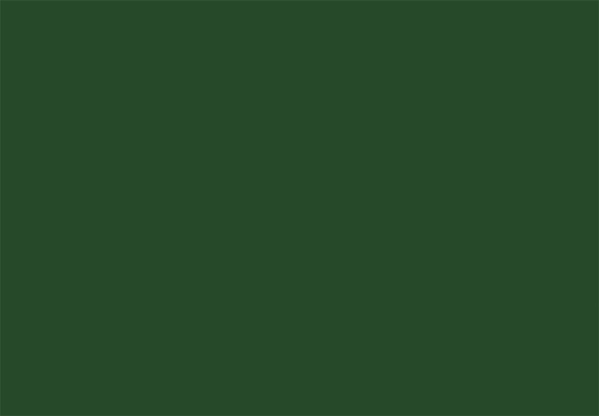 CRICUT 2005144 PREMIUM VİNİL GEÇİCİ 30.5X122CM ORMAN YEŞİLİ