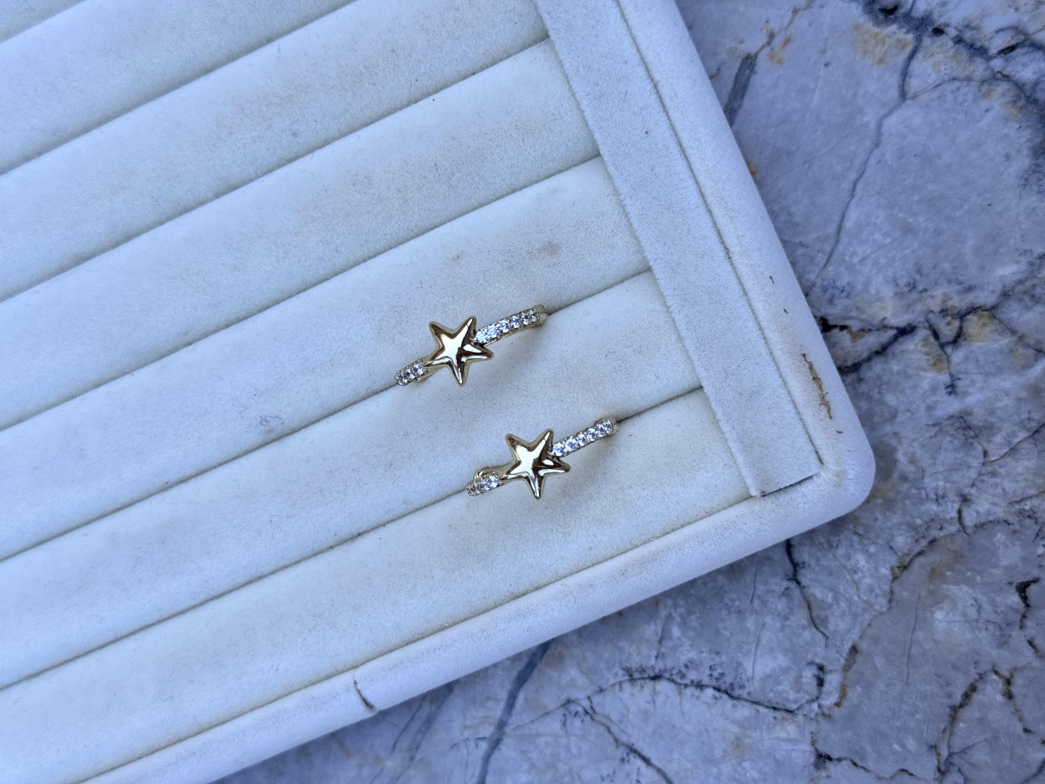 Özel Seri Zircon Yıldızlı Küpe