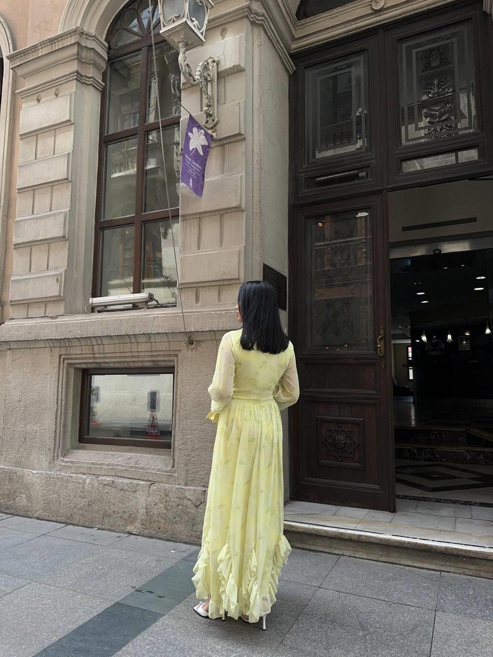 Zerda Uzun Kol Şifon Düğmeli Elbise