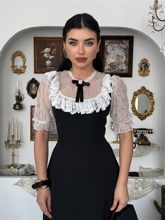 Esane Broş Detaylı Elbise