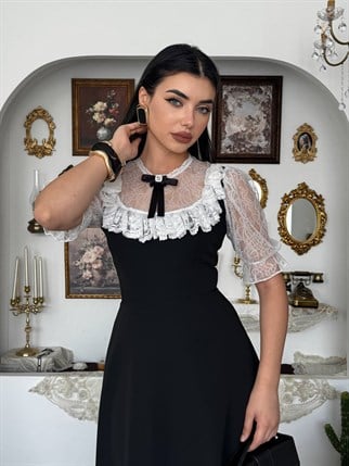 Esane Broş Detaylı Elbise