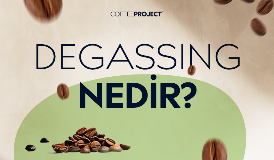 Degassing Nedir?