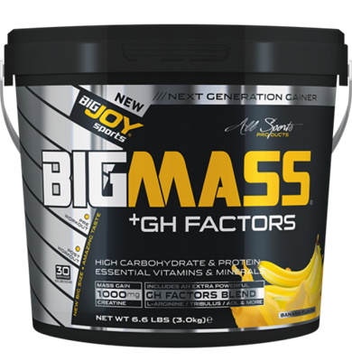 Bigjoy BigMass +GH Factors 3000 gr