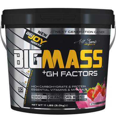 Bigjoy BigMass +GH Factors 5000 gr