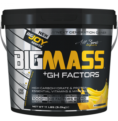 Bigjoy BigMass +GH Factors 5000 gr