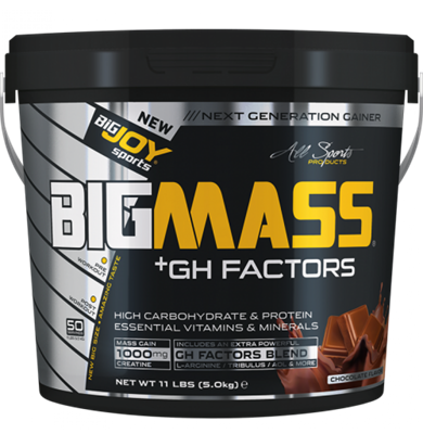 Bigjoy BigMass +GH Factors 5000 gr