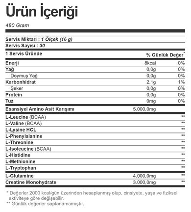 Bigjoy EAA+Glutamine+Creatine 480 gr