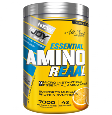 Bigjoy Essential Amino Reaal 420 gr
