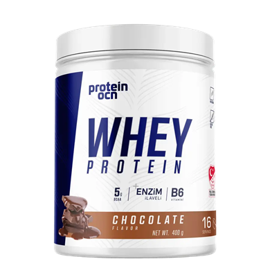 Protein Ocn Whey Protein 400 gr