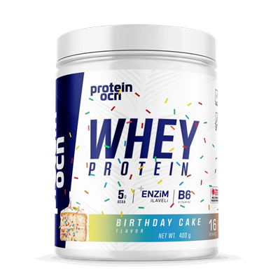 Protein Ocn Whey Protein 400 gr