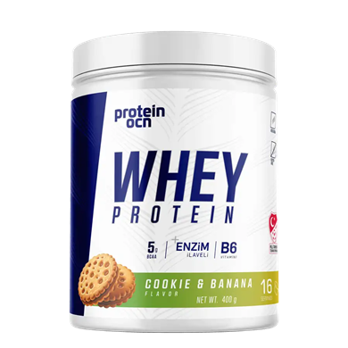 Protein Ocn Whey Protein 400 gr