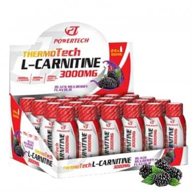 Thermotech L Carnitine 3000 mg 24 Shot X 100 ml