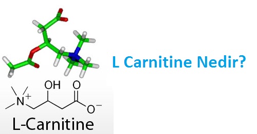 l carnitine nasıl kullanılır L Karnitin Nasıl Kullanılır ? L - Karnitin Nedir?