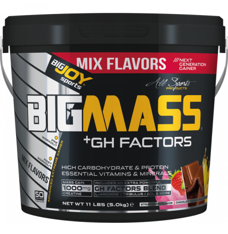 Bigjoy BigMass +GH Factors 5000 gr