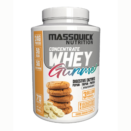 MassQuick Gurme Whey Protein Tozu 2100 gr 70 Servis