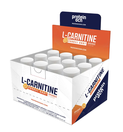 Protein Ocean L-Carnitine 2000 mg 12 Shot | Likit Carnitine Fiyatı