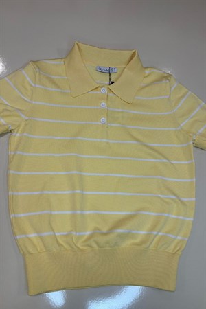 Kadın Çizgili Pola Yaka Tshirt -sarı