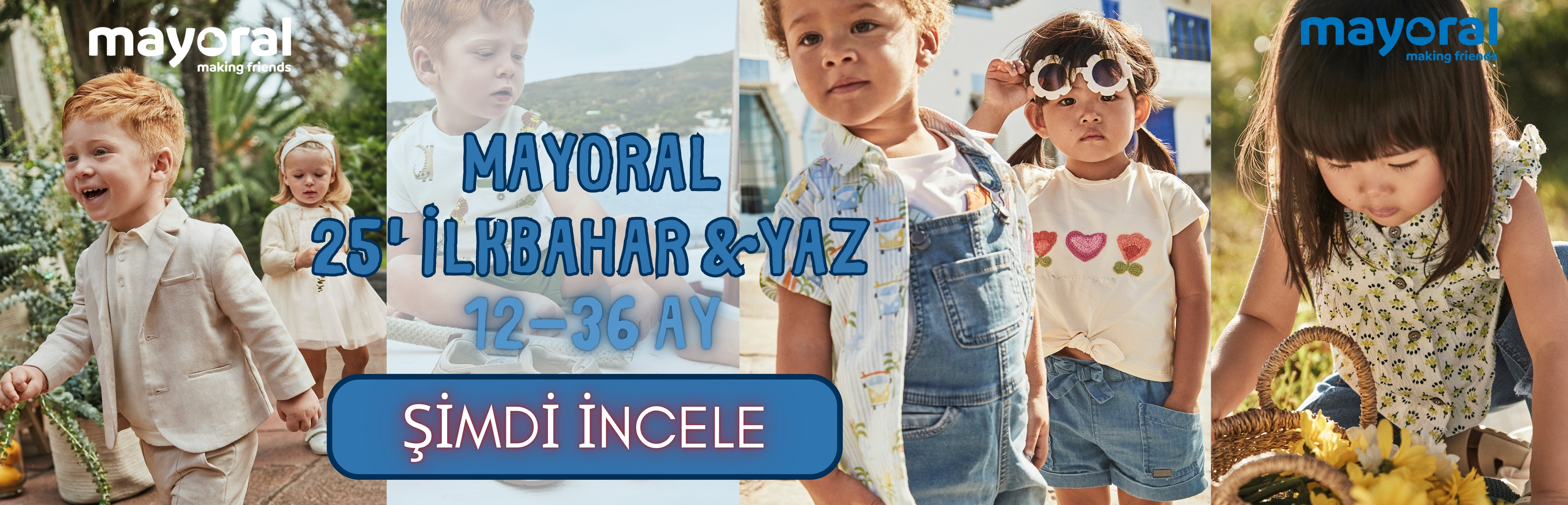12-36 AY