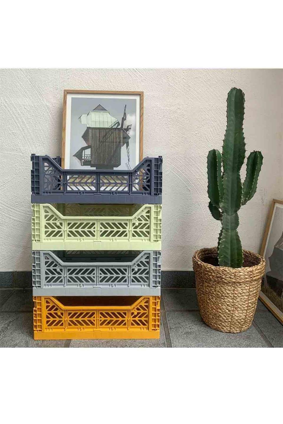 Katlanabilir Midibox Kasa, Mustard