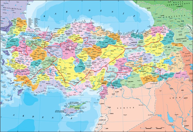 Anatolian Puzzle 260 Parça Türkiye Siyasi Haritası