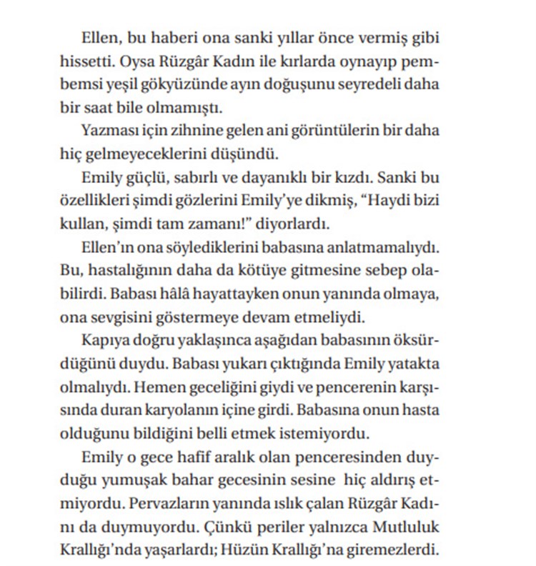 Mavi'nin Kızı Emily 4'lü Set