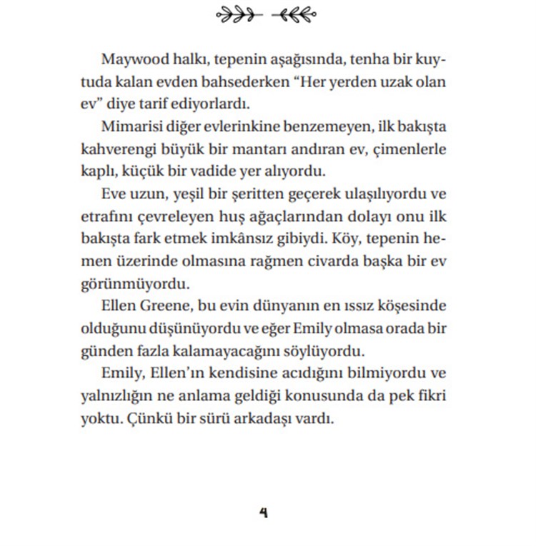 Mavi'nin Kızı Emily 4'lü Set
