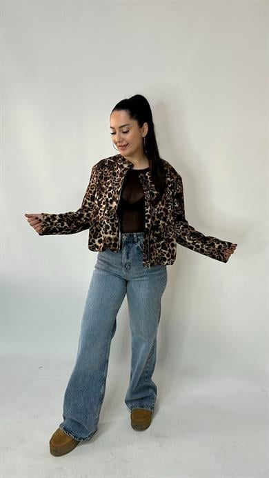 Kahve Transparan Bluz