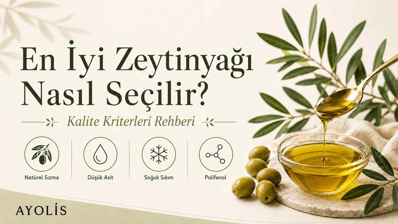 Ayolis için en iyi zeytinyağı nasıl seçilir rehberi; natürel sızma, düşük asit, soğuk sıkım ve polifenol kriterlerini gösteren kapak görseli