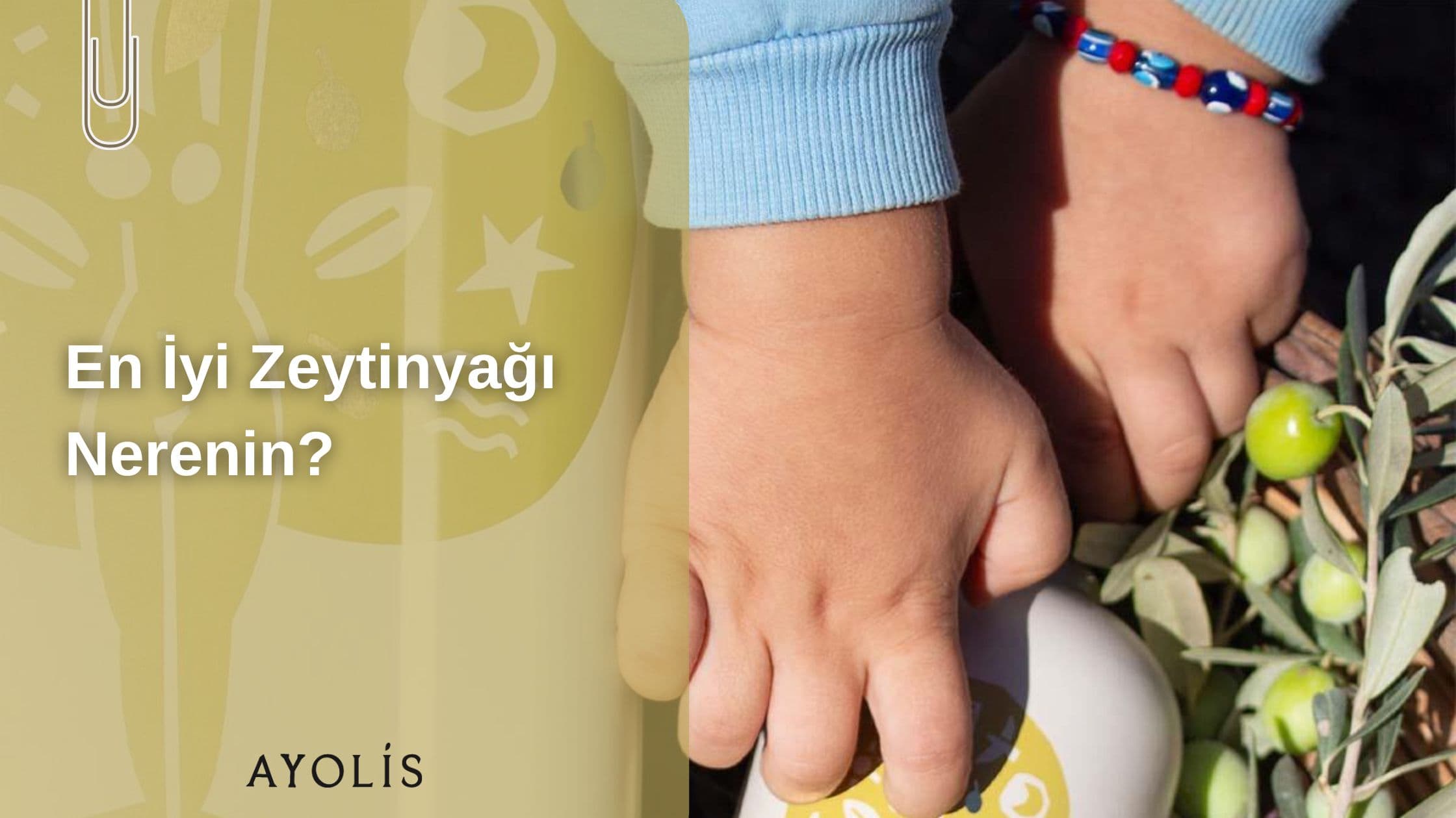 En İyi Zeytinyağı Nerenin