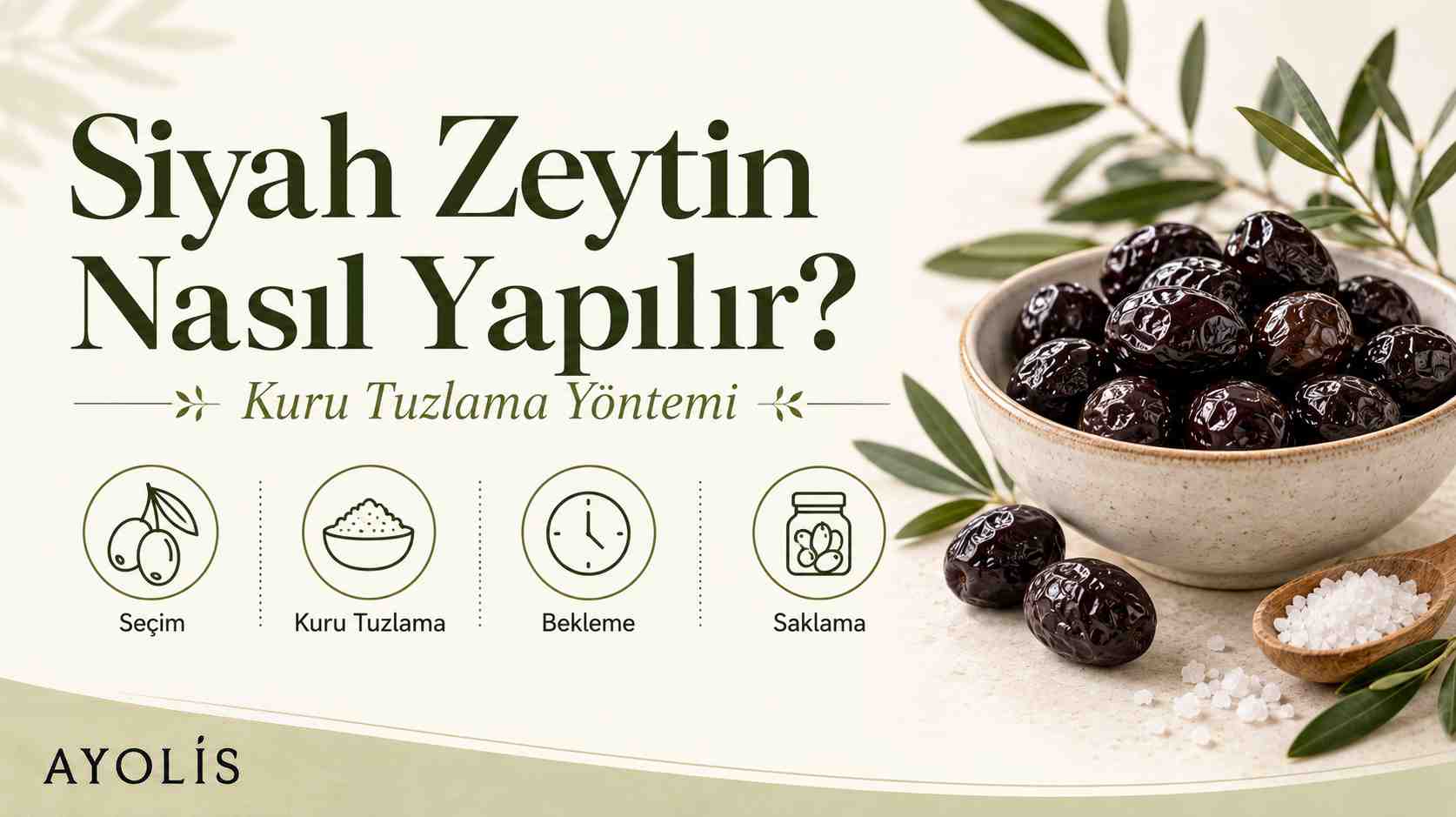 Kuru tuzlama rehberi kapağında bir kase siyah zeytin ve tuz