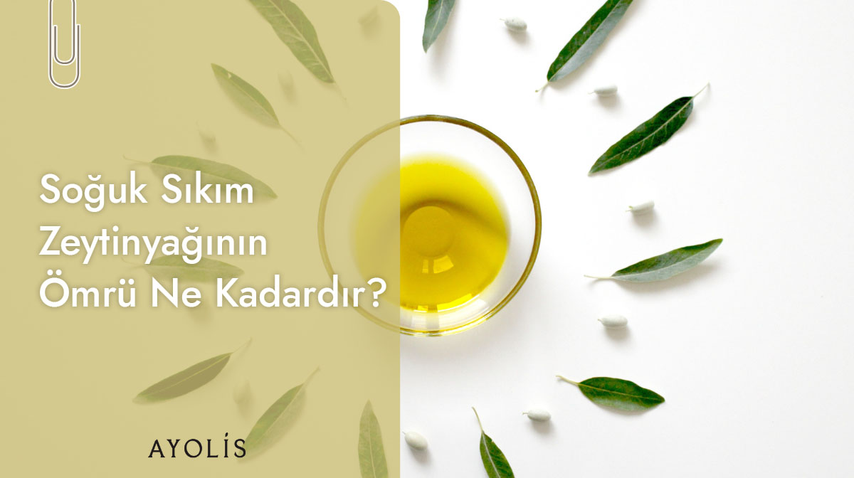 Soğuk sıkım zeytinyağı ve zeytin dallarıyla doğal masa üstü sunum görseli