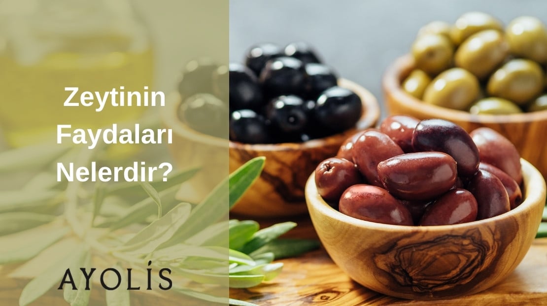 Zeytinin Faydaları