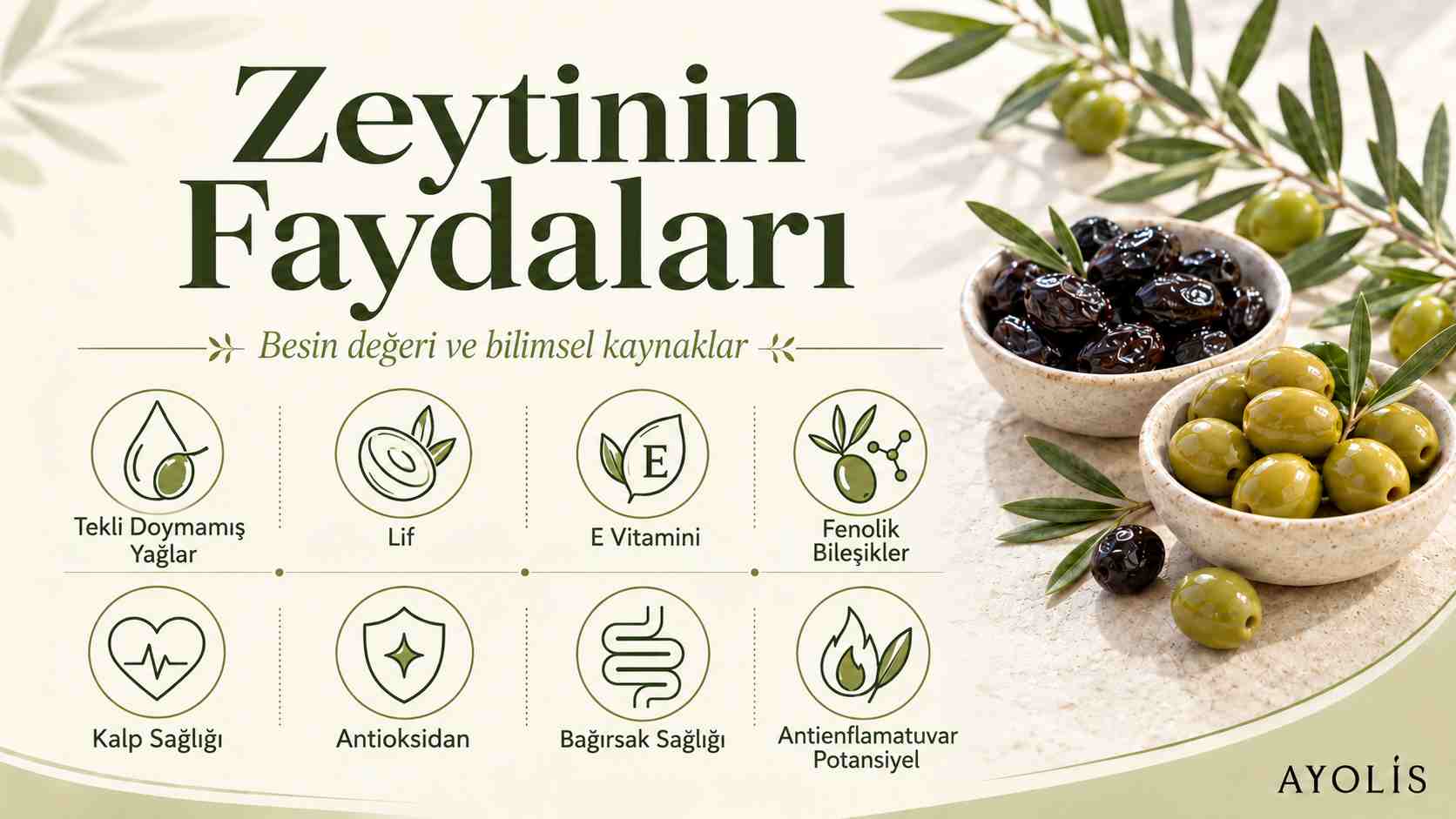 Siyah ve yeşil zeytinlerle zeytinin faydalarını ve besin içeriğini özetleyen infografik